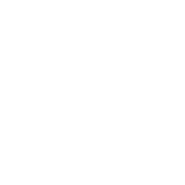 NN
