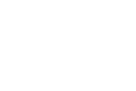 Vivum
